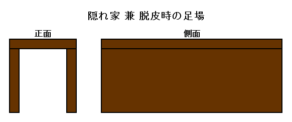 スズムシの隠れ家兼脱皮時の足場