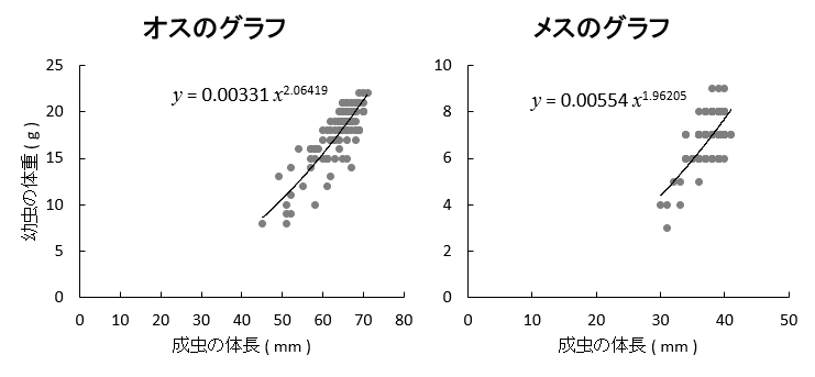 ヒラタクワガタの幼虫体重と成虫体長の関係のグラフ