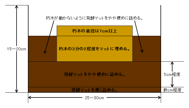 朽木を使ったヒラタクワガタの産卵セット