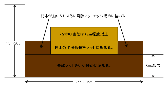 コクワガタの産卵セット